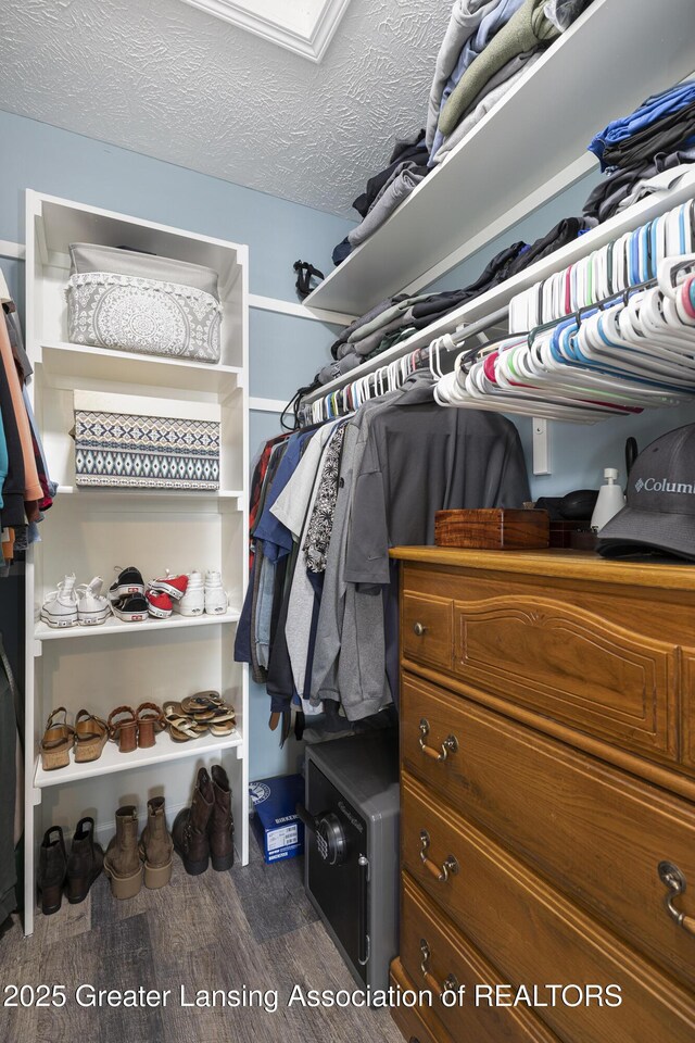 491 Anhinga Dr, East Lansing, MI 48823 - spacious closet featuring wood finished floors