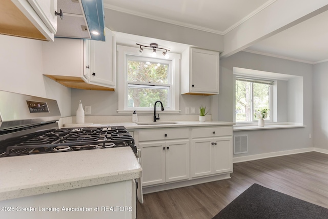 1041 Parker St, Lansing, MI 48912 - kitchen with stainless steel gas range oven, white cabinets, dark wood-type flooring, and crown molding