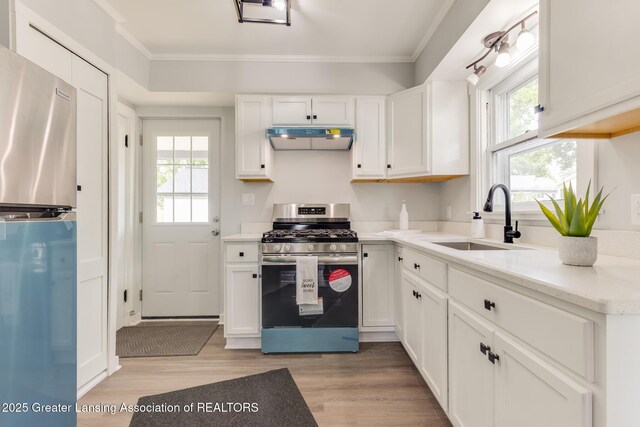 1041 Parker St, Lansing, MI 48912 - kitchen with appliances with stainless steel finishes, under cabinet range hood, light wood finished floors, healthy amount of natural light, and ornamental molding