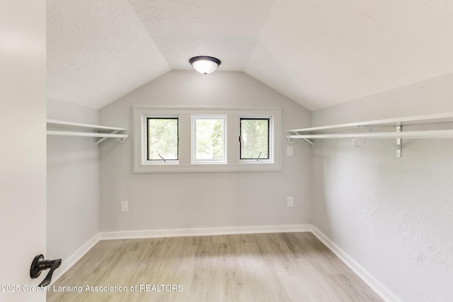 1041 Parker St, Lansing, MI 48912 - spacious closet featuring light wood-style flooring and lofted ceiling