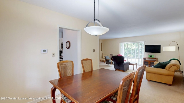 1614 Lindbergh Dr, Lansing, MI 48910 - photo 10