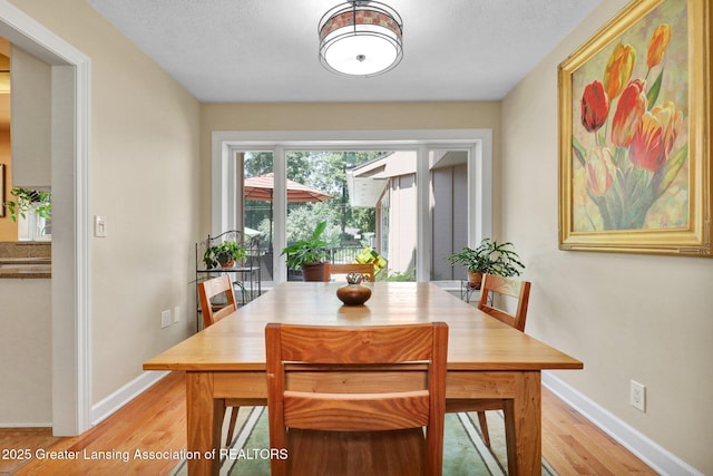 1603 Roseland Ave, East Lansing, MI 48823 - dining space with light wood-type flooring and baseboards