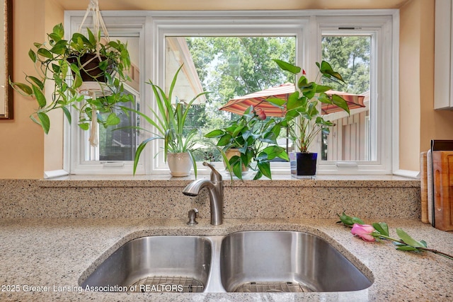 1603 Roseland Ave, East Lansing, MI 48823 - kitchen view of a sink and light stone counters