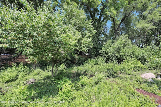 1603 Roseland Ave, East Lansing, MI 48823 - view of local wilderness