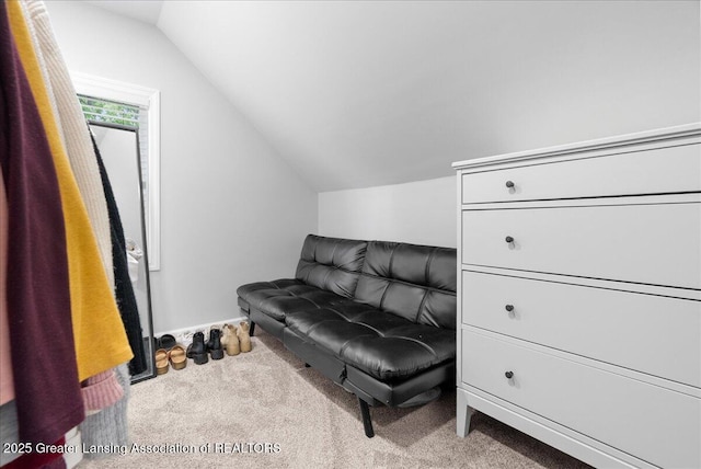 2914 W Holmes Rd, Lansing, MI 48911 - living area with lofted ceiling and carpet floors