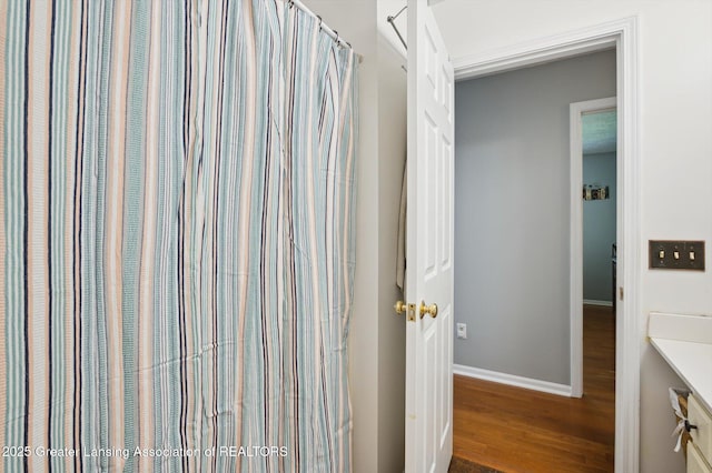 1234 Lamb Rd, Mason, MI 48854 - full bath featuring wood finished floors and vanity
