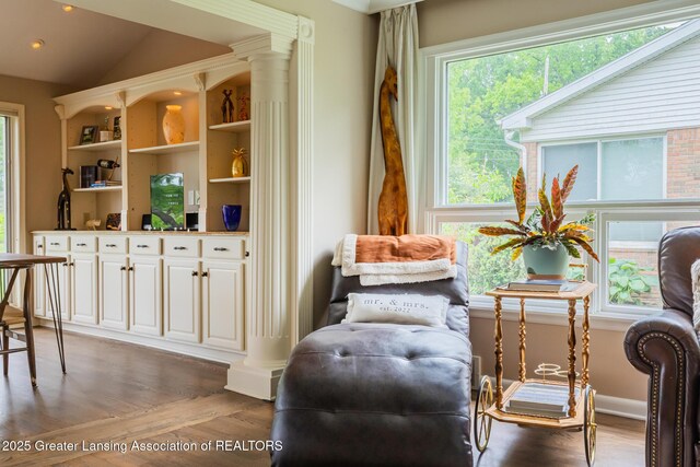 1717 Nottingham Rd, Lansing, MI 48911 - living area featuring plenty of natural light, light wood-style flooring, and vaulted ceiling