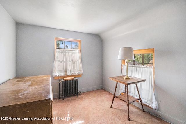 201 S Jenison Ave, Lansing, MI 48915 - photo 29