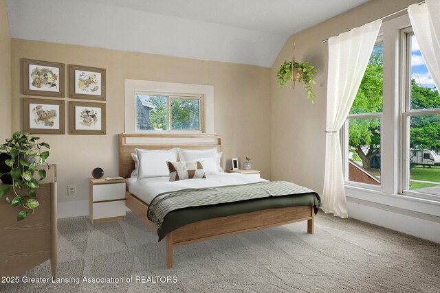 301 E Emerson St, Ithaca, MI 48847 - carpeted bedroom featuring multiple windows and vaulted ceiling