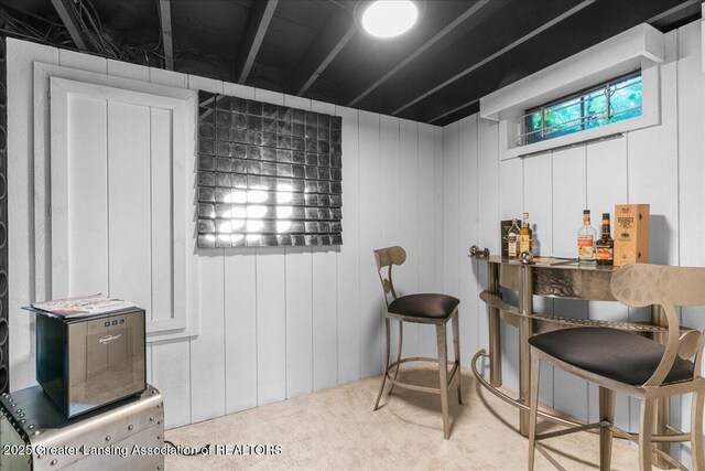 3886 Hemmingway Dr, Okemos, MI 48864 - miscellaneous room featuring carpet floors
