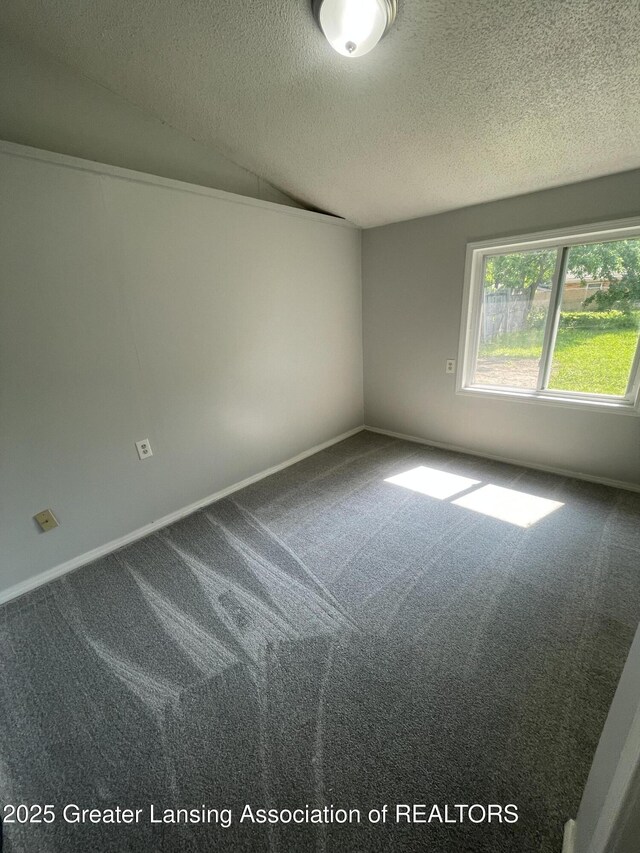 4013 Ingham St, Lansing, MI 48911 - carpeted empty room featuring a textured ceiling and lofted ceiling