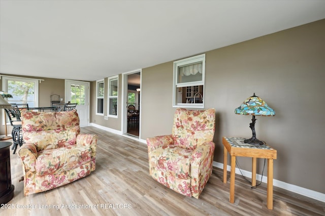 15754 Culver Dr, East Lansing, MI 48823 - living room featuring wood finished floors