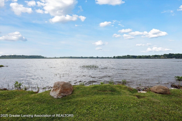 15754 Culver Dr, East Lansing, MI 48823 - water view