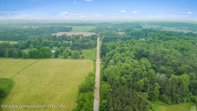 11100 S Bird Rd, Dowling, MI 49050 - aerial view of sparsely populated area