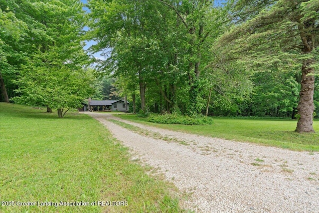 11100 S Bird Rd, Dowling, MI 49050 - view of front of home with dirt driveway and a front lawn