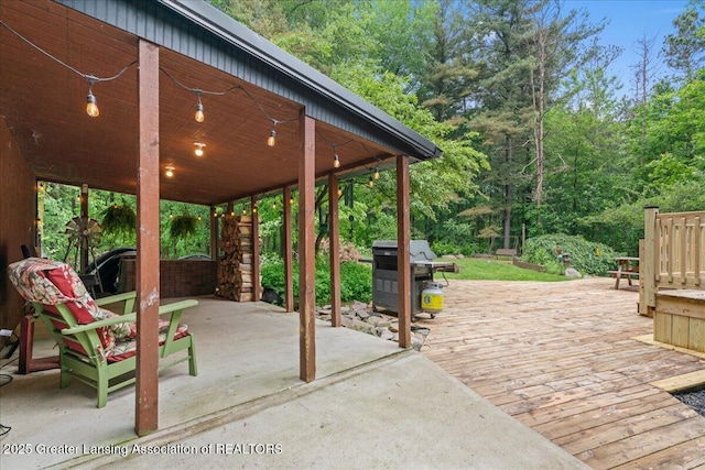 11100 S Bird Rd, Dowling, MI 49050 - view of patio / terrace featuring area for grilling