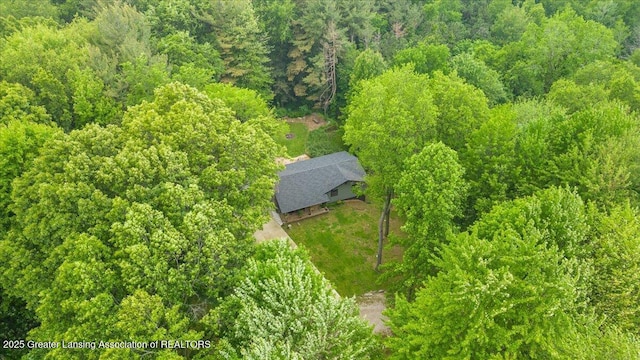 11100 S Bird Rd, Dowling, MI 49050 - aerial view of property and surrounding area
