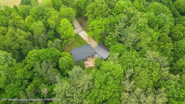 11100 S Bird Rd, Dowling, MI 49050 - view from above of property