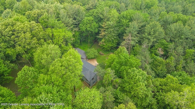 11100 S Bird Rd, Dowling, MI 49050 - view of subject property with a heavily wooded area
