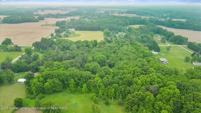 11100 S Bird Rd, Dowling, MI 49050 - overview of rural landscape