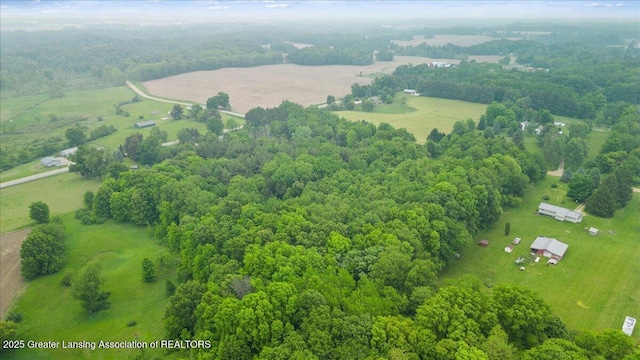 11100 S Bird Rd, Dowling, MI 49050 - view of rural area