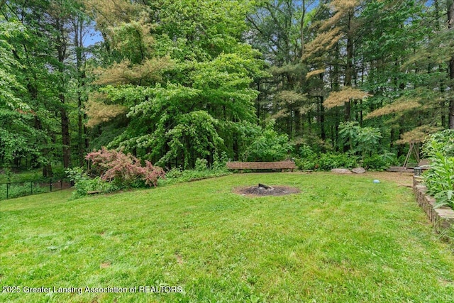 11100 S Bird Rd, Dowling, MI 49050 - view of yard