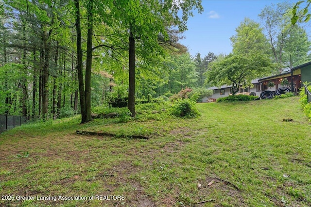 11100 S Bird Rd, Dowling, MI 49050 - view of yard