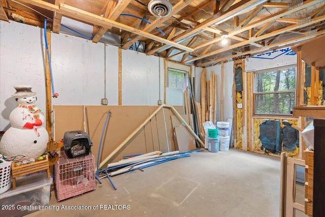 11100 S Bird Rd, Dowling, MI 49050 - view of below grade area