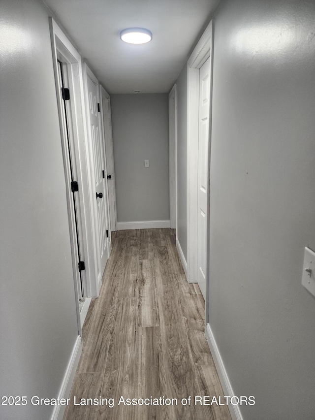 1931 Ferrol St, Lansing, MI 48910 - photo 4