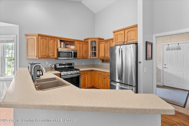 2308 Keller Rd, Holt, MI 48842 - kitchen with stainless steel appliances, high vaulted ceiling, a peninsula, light countertops, and glass insert cabinets