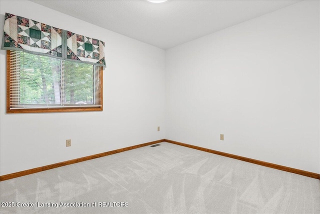 235 Bonnie Brook Dr Unit 1, Charlotte, MI 48813 - empty room with carpet and baseboards