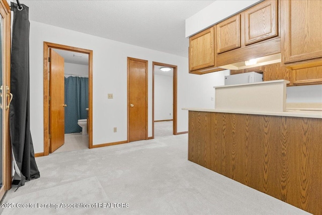 235 Bonnie Brook Dr Unit 1, Charlotte, MI 48813 - kitchen featuring light carpet and baseboards