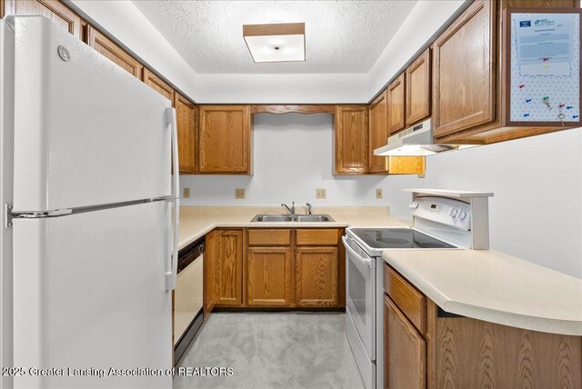 235 Bonnie Brook Dr Unit 1, Charlotte, MI 48813 - kitchen featuring white appliances, brown cabinetry, under cabinet range hood, a textured ceiling, and light carpet