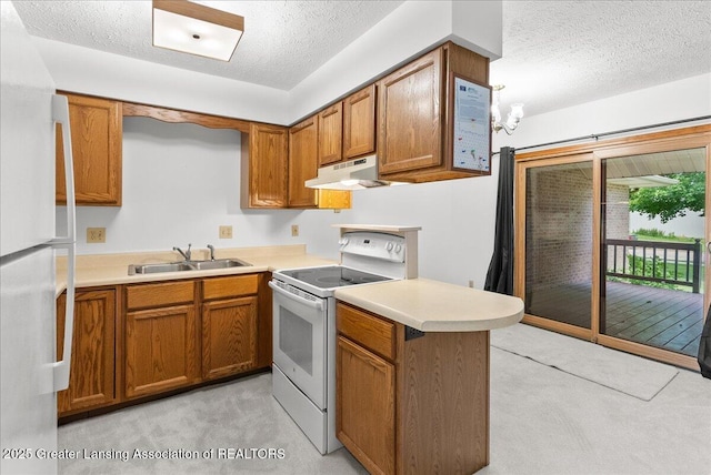 235 Bonnie Brook Dr Unit 1, Charlotte, MI 48813 - kitchen featuring white appliances, under cabinet range hood, a textured ceiling, light carpet, and brown cabinetry