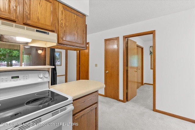 235 Bonnie Brook Dr Unit 1, Charlotte, MI 48813 - kitchen with electric range, under cabinet range hood, light carpet, light countertops, and brown cabinetry
