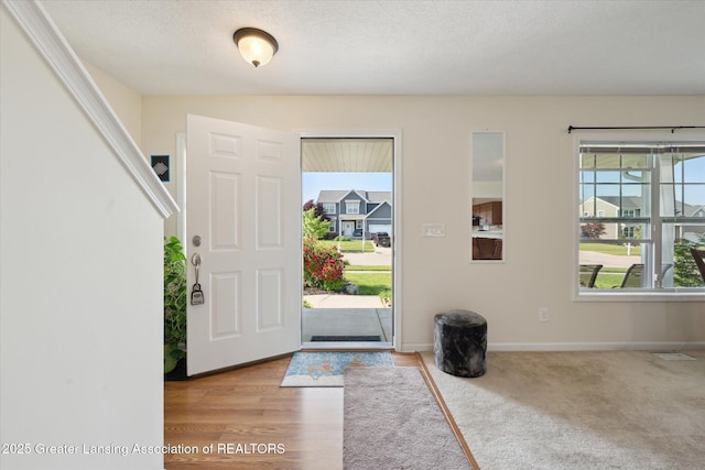 8687 Yellowstone Ln, Lansing, MI 48917 - foyer entrance featuring wood finished floors and a textured ceiling