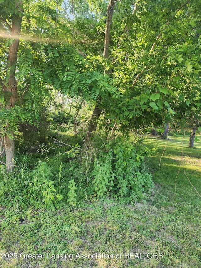 0V/L W Sheridan Rd, Lansing, MI 48906