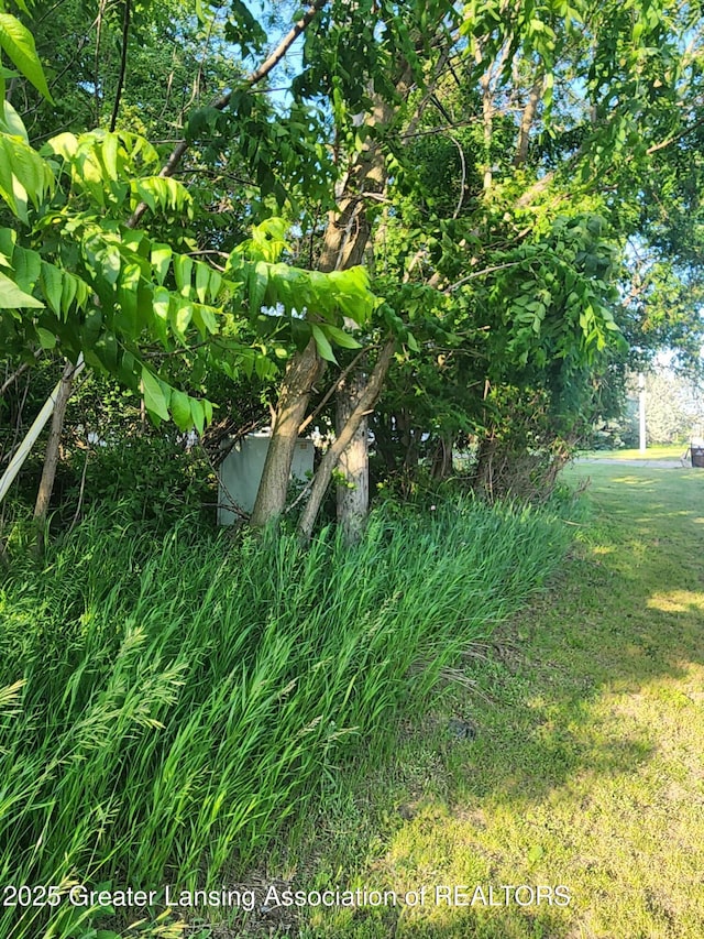 0V/L W Sheridan Rd, Lansing, MI 48906