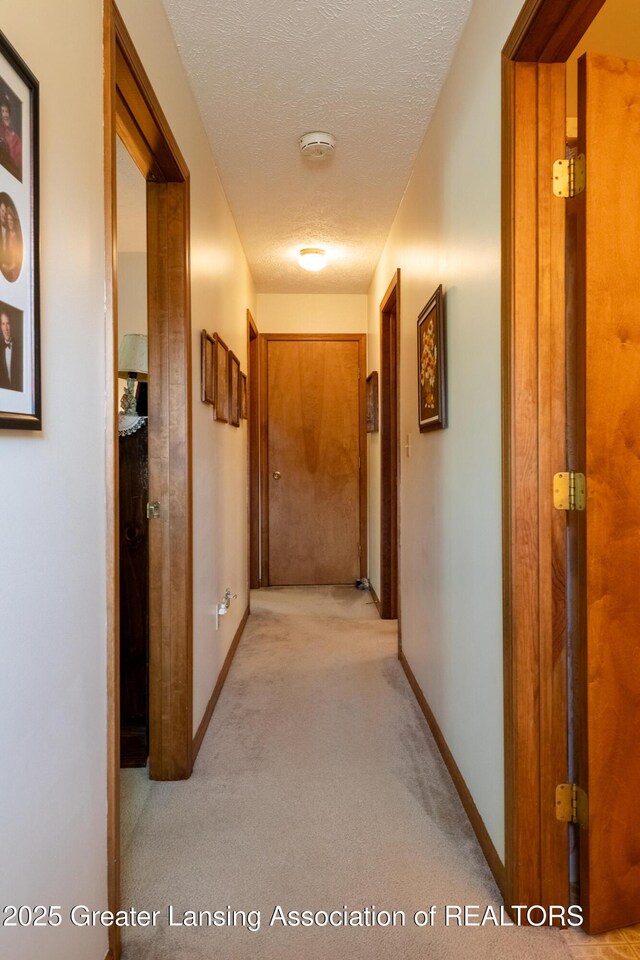 533 Middlebury Ln, Mason, MI 48854 - corridor featuring light carpet and a textured ceiling