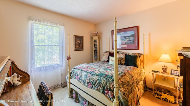 533 Middlebury Ln, Mason, MI 48854 - bedroom with light colored carpet