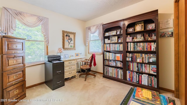 533 Middlebury Ln, Mason, MI 48854 - office featuring baseboards and carpet