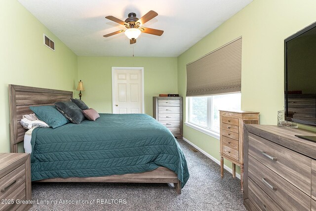 6339 Macadam Way, Dimondale, MI 48821 - photo 11