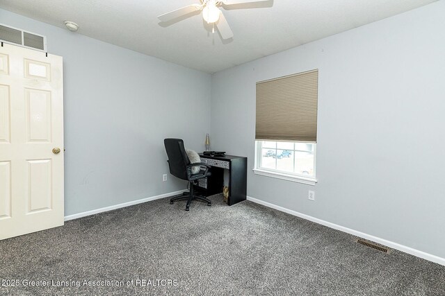 6339 Macadam Way, Dimondale, MI 48821 - photo 13