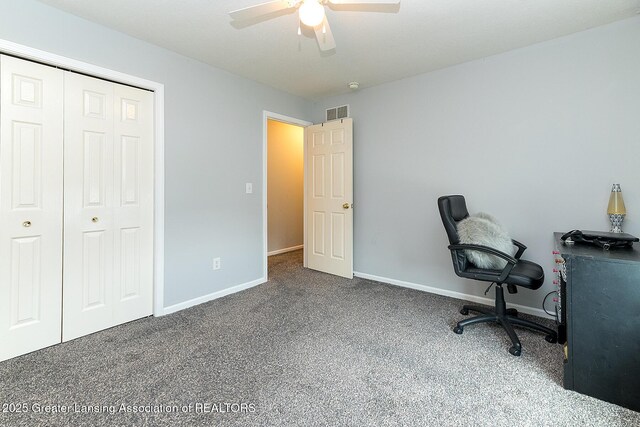 6339 Macadam Way, Dimondale, MI 48821 - photo 14