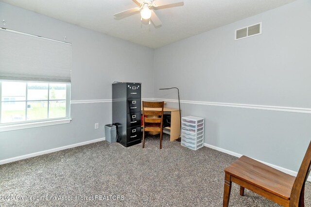 6339 Macadam Way, Dimondale, MI 48821 - photo 15