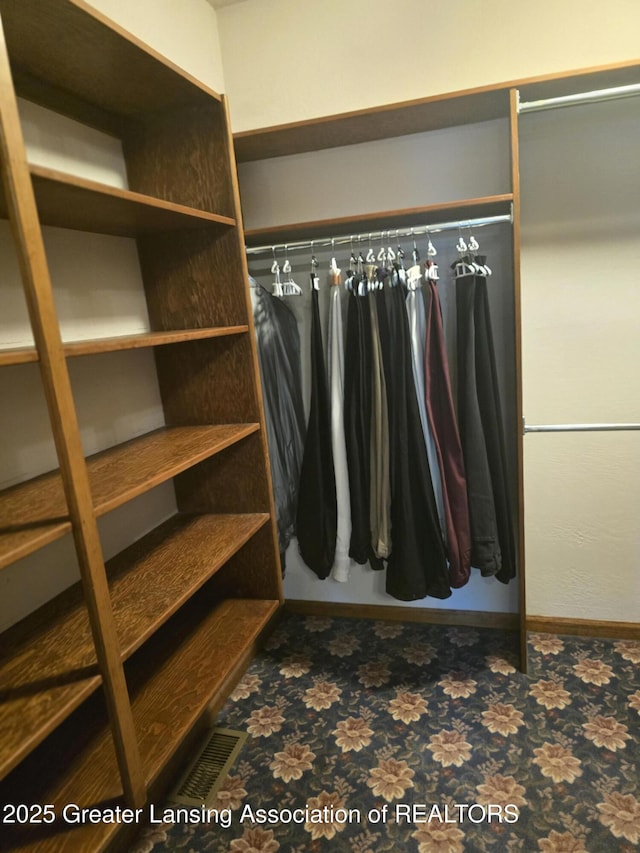 1204 Burlington Dr, Grand Ledge, MI 48837 - view of walk in closet