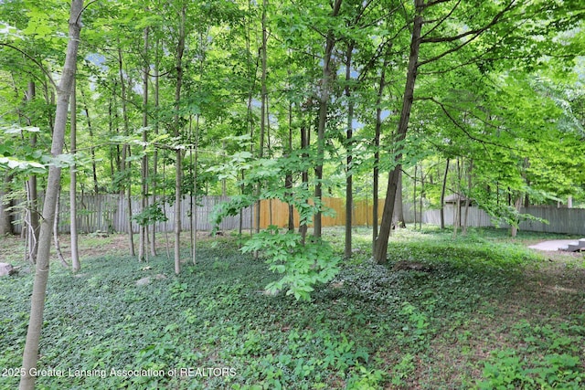 1204 Burlington Dr, Grand Ledge, MI 48837 - view of fenced backyard