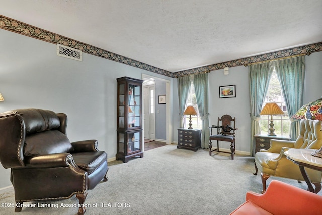 1204 Burlington Dr, Grand Ledge, MI 48837 - sitting room featuring carpet and a textured ceiling