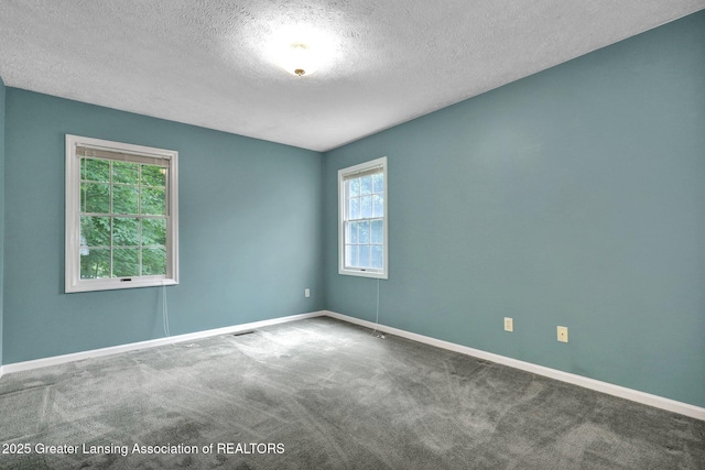 1204 Burlington Dr, Grand Ledge, MI 48837 - carpeted spare room with a textured ceiling and baseboards
