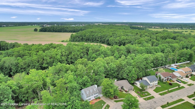 1204 Burlington Dr, Grand Ledge, MI 48837 - drone / aerial view